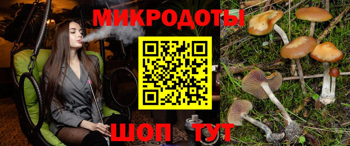 Псилоцибиновые грибы Psilocybe  Вход с VPN  купить наркотики сайты  Тара 
