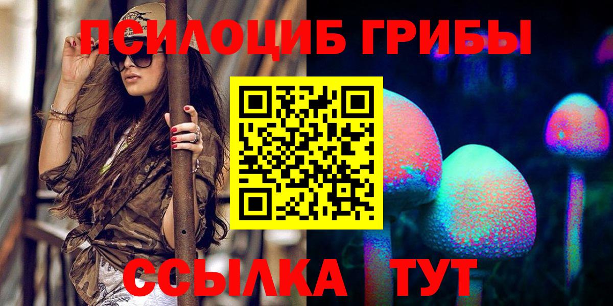 Псилоцибиновые грибы GOLDEN TEACHER Тара